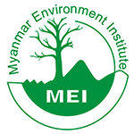 MEI logo